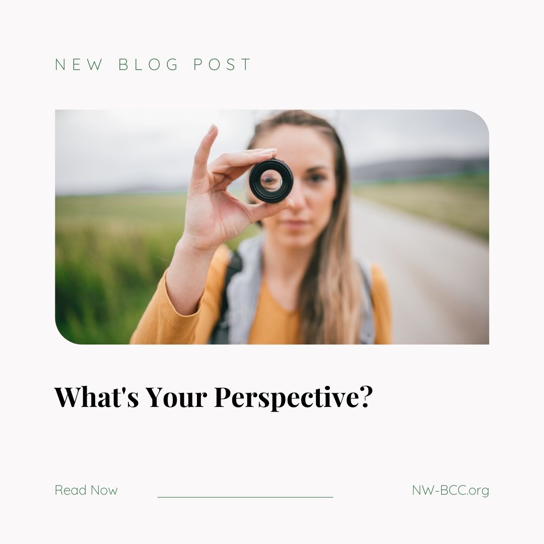 New blog post called "What's your perspective?" with image above of woman holding a camera lens in front of right eye.